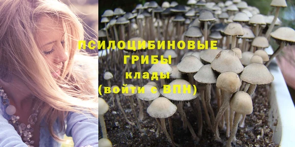 бошки Аркадак
